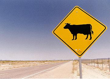 美服Switch预购《超级马里奥派对：空前盛会》将获赠季度会员